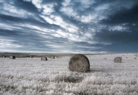 Harvested Field  Color filter Shot - grain field, harvest, color filter, field, harvested field