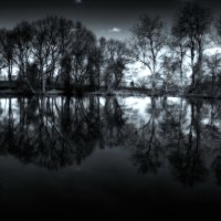 Reflections in a Pond