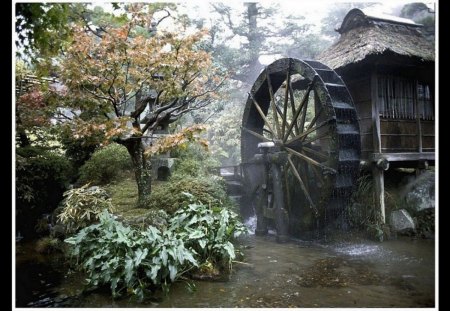 the wheel keeps on turning around - house, plants, rural