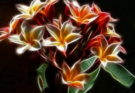 	The Glow of Plumeria - fractal, glow, plumeria