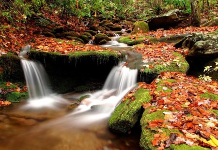 The falls - nature, falls