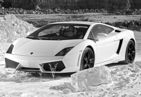 Lamborghini Gallardo LP 560 - lp560, car, tuning, gallardo, lambo