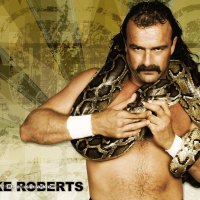 Jake Roberts