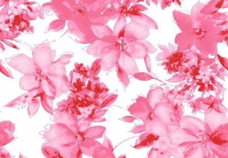 Warm Pink Flowers - pink flowers, abstract