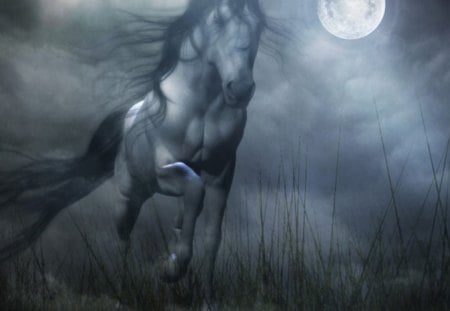 Horse in The Moonlight - clouds, moon, shrubs, horse, sky