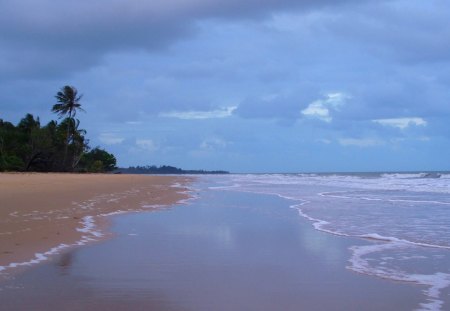 mission beach - beach, trees, clouds, waves