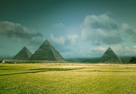 Pyramids wallpaper - clouds, grass, pyramids, sky