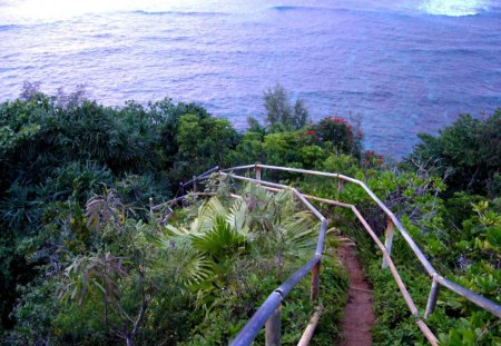 Kauai Trail - kauai, path, trail, hawaii, ocean