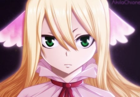 [Fairy Tail] The First - tail, guild, magic, anime, fairy, manga