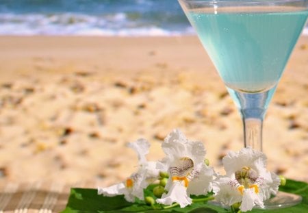 Beach Orchid - parfume, beach, drink, orchid, sea