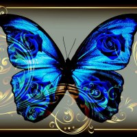 BUTTERFLY Blue Jewelry