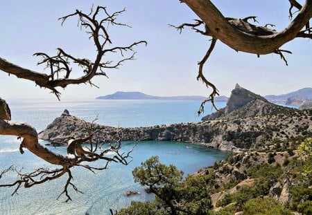 Lake Inlet - hills, lake, inlet, trees