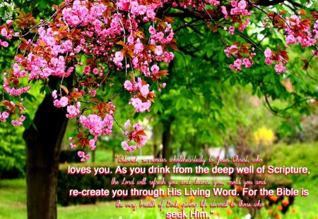 Well of... - holy spirit, trees, jesus, beautiful, god, bible verses, flowers, scriptures, nature, bible, peaceful