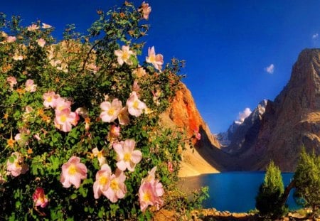 River view - nice, sky, freshness, riverbank, delicate, water, clear, view, pretty, clouds, river, sunny, cliffs, harmony, fresh, lake, mountain, summer, shore, lovely, bushes, nature, bright, floral, blue, pink, beautiful, flowers