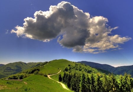 cloud on a sunny day - cloud, trail, forest, mountain