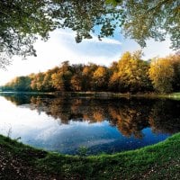 amazing forest pond in autumn