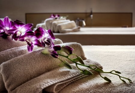 spa - nice, purple, spa, orchid