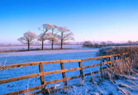 frosty countryside - fields, fence, frosty, trees, winter, countryside, blue sky, nature, cold, snow, blue