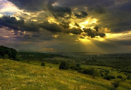 sunrise over a field - clouds, sunrise, field, trees