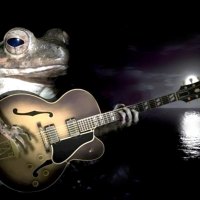 Frog and guitar