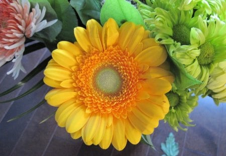 Bouquet with a Yellow flower - yellow, photography, green, orange, flowers, daisy