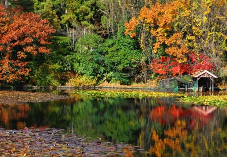 Lake - house, trees, nature, autumn, lake