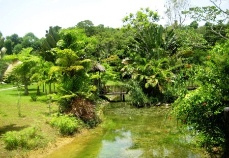 River Jamaica - jamaica, nature, water, river