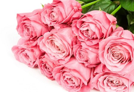 Pink roses - pink roses, roses, pink, petals, flowers, bouquet, lovely