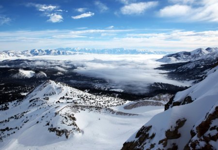 Winter - beauty, sky, trees, peaceful, wunter, mountains, view, amazing, winter time, clouds, tree, snowy, landscape, lovely, nature, snow, beautiful, splendor, fog