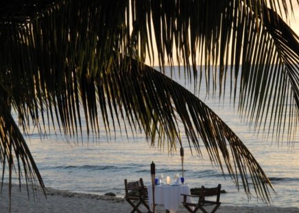 Romantic Table for Two - table, beach, nature, romantic