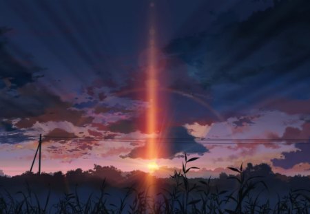 5 centimeters per second - sunset, landscape, 5 centimeters per second, grass