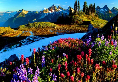 Blue mountain river - nice, sky, riverbank, stream, colorful, clear, pretty, river, clouds, summer, shore, lovely, bushes, mountrain, bright, nature, floral, blue, beautiful, floating, delight, flowers