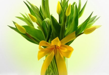 Great gift♥ - yellow, fashion, great, entertainment, femg shui, precious, fresh, ribbon, positive, forever, energy, present, lovely, love, bouquet, wonderful, tulips, green, gift, bow