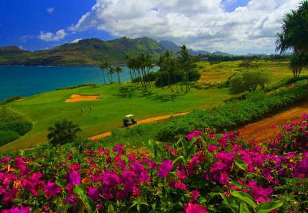 Golf Field - field, flower, golf, nature