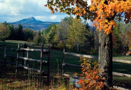 Landscape - nature, fence, landscape, tree, field