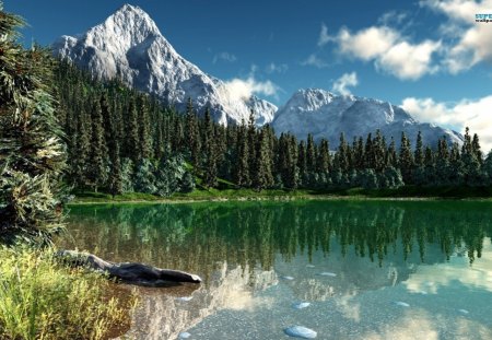 Winter Trees - peak, forest, rock, water, daylight, blue, lake, sky, reflection, clouds, trees, nature, mountain, day, snow