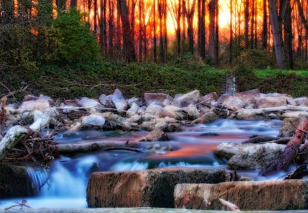 Red and blue - nature, landscape, trees, forest, peaceful, river, sunsets