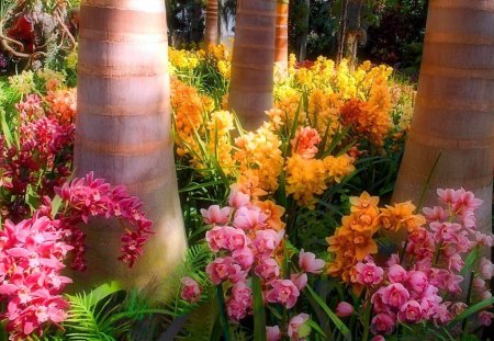 Exotic forest - sunlight, trees, yellow, gold, forest, pink, flowers, green, orchids