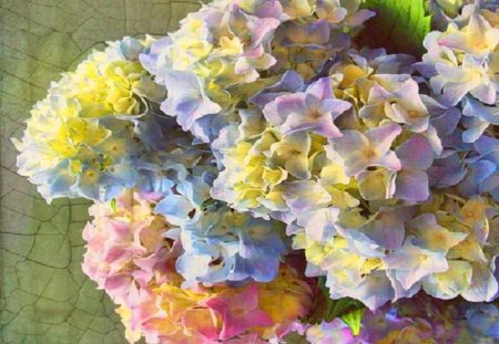 Pastel blooms - mauve, yellow, pink, blue, hydrangea, green, flowers, pastels