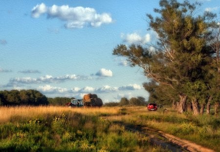 Summer field - nature, painting, art, summer, field