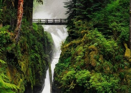 forest waterfall with bridge - bridge, forest, nature, falls