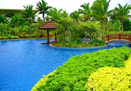 Tropical pool - nice, sky, tropics, water, gras, reflection, green, bridge, relax, ocean, palm trees, palms, summer, tropical, lovely, exotic, nature, blue, beautiful, rest, sea, pool