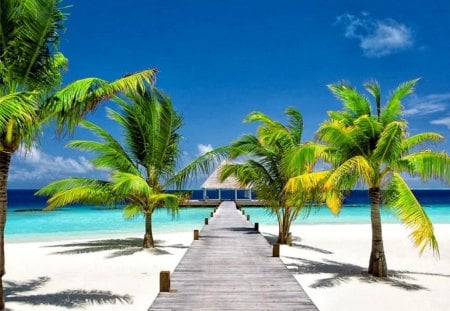 The beauty of the tropics - sunny, summer, cabin, beach, crystal, holiday, bungalow, exotic, palm trees, waters, nice, hut, sky, sun, clouds, palms, beautiful, vacation, sea, travel, lovely, ocean, rest, pier, tropics, wind, nature, tropical, rays, clear, sands