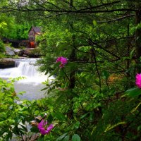 Forest grist mill