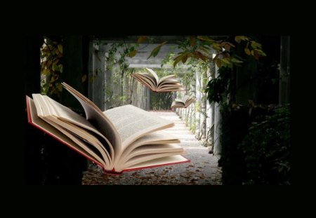 Entering the World of Books - another world, fantasy, books, reading