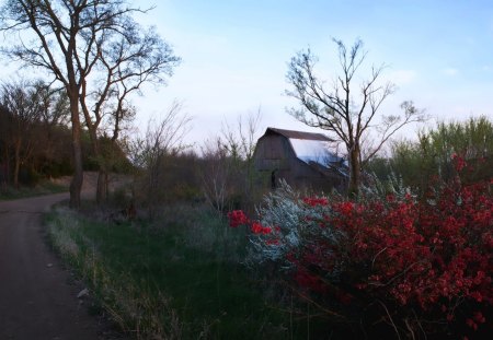 The old barn - flowers, path, nature, barn, barns