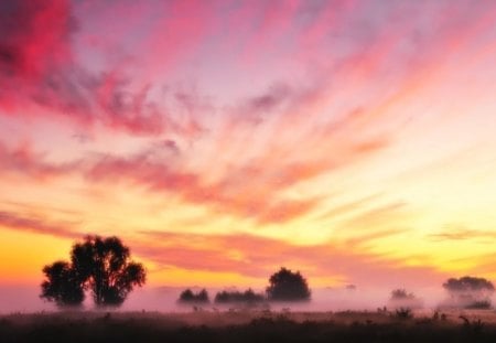 Misty Morning - nature, fog, fields, pastures, morning, sun, sky