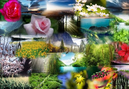 Natural Beauty II - roses, waterfalls, summer, collage, grass, meadow, spring, flowers, dew, lake, sky, sun, water, fleurs, colorful, river, sunset, bright, mountains, clover