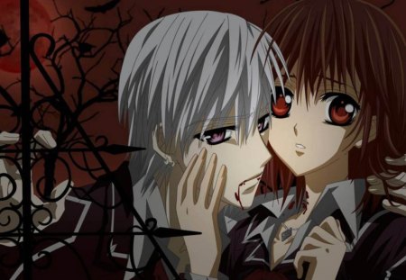 vampire knightZero and Yuuki - vampire, yuuki, vampire knight, zero