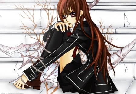 yuuki - vampire, anime, yuuki, vampire knight